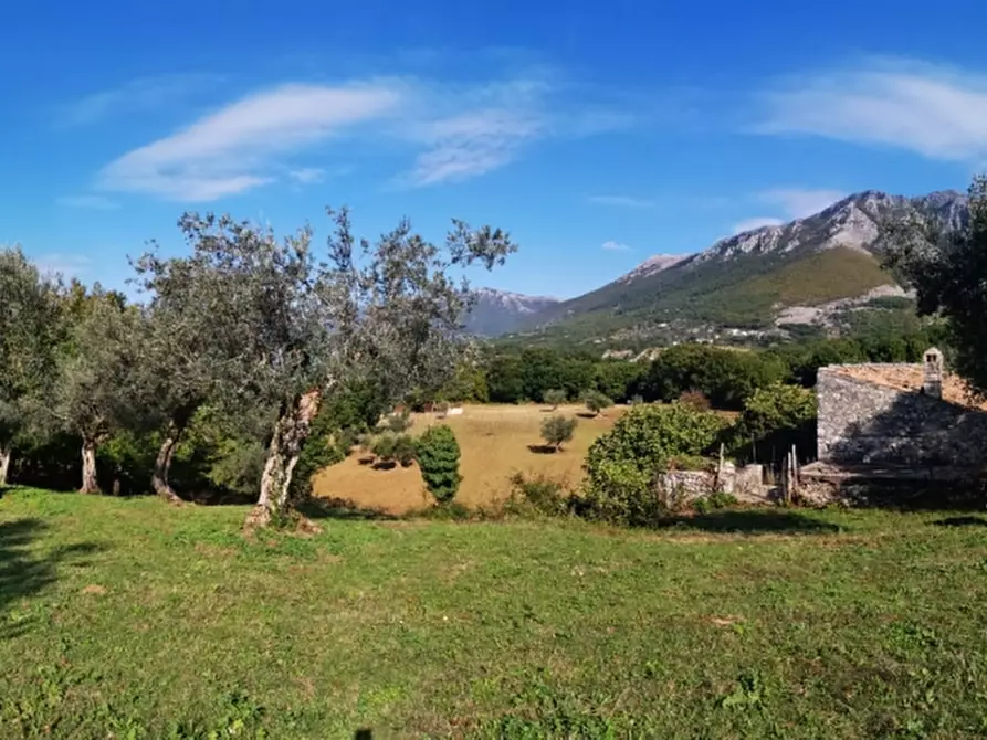 Immagine 10 di Terreno agricolo in vendita  in PRATA SANNITA a Prata Sannita