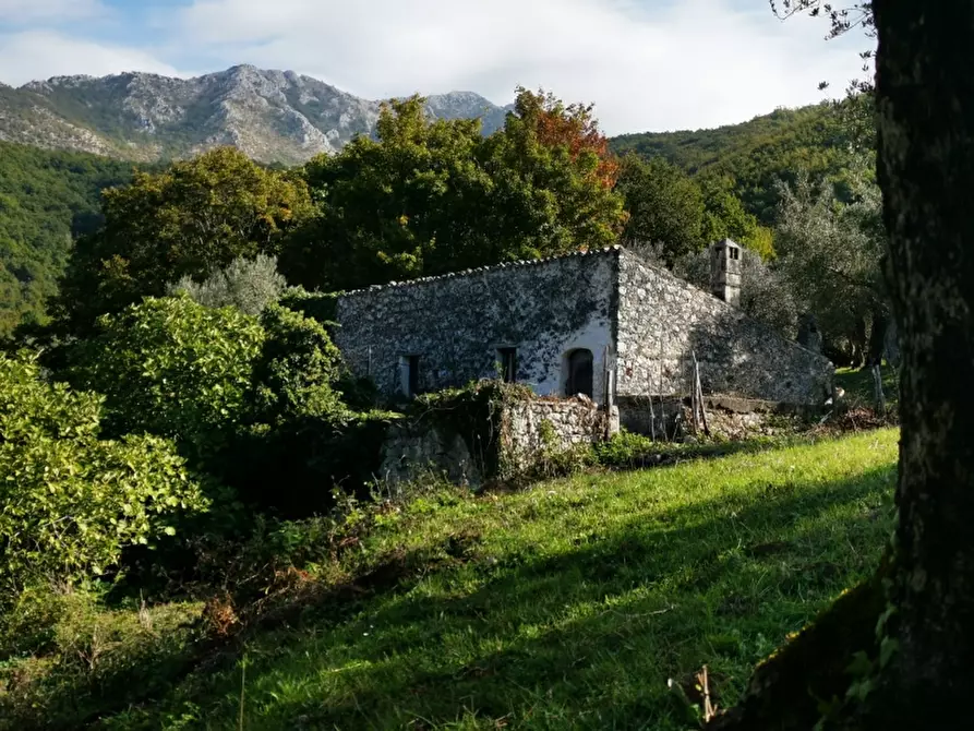 Immagine 11 di Terreno agricolo in vendita  in PRATA SANNITA a Prata Sannita
