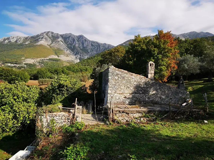 Immagine 14 di Terreno agricolo in vendita  in PRATA SANNITA a Prata Sannita