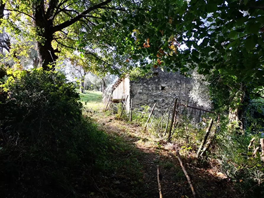 Immagine 15 di Terreno agricolo in vendita  in PRATA SANNITA a Prata Sannita