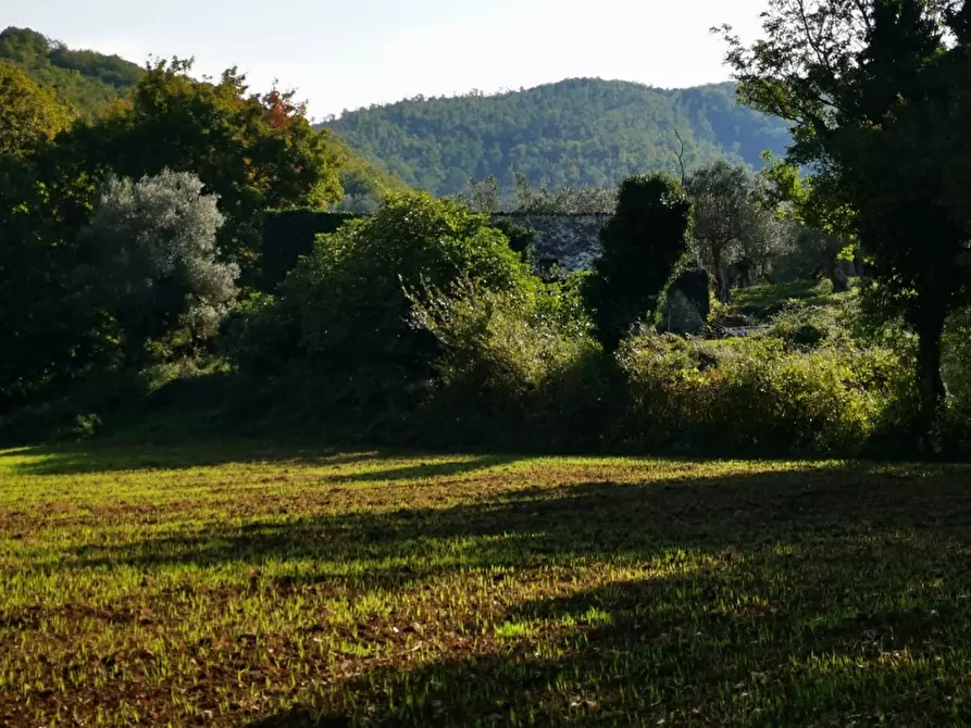 Immagine 3 di Terreno agricolo in vendita  in PRATA SANNITA a Prata Sannita