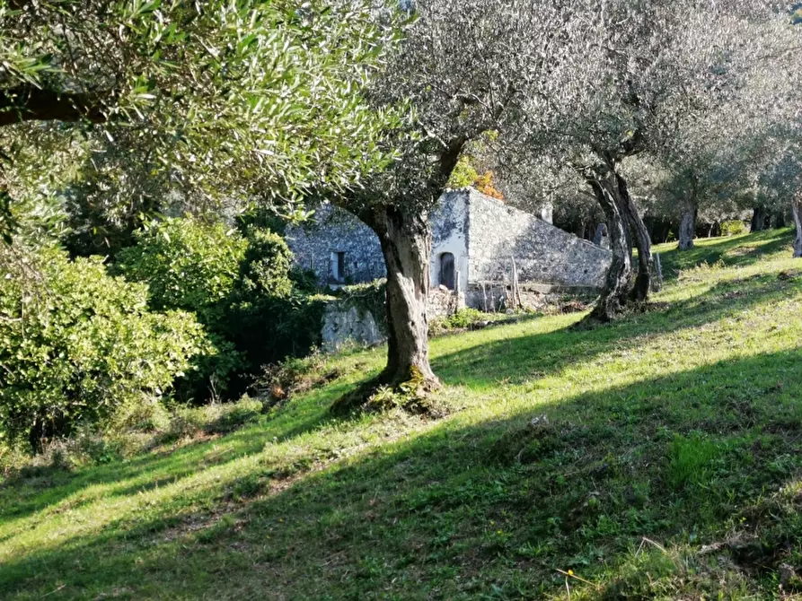 Immagine 19 di Terreno agricolo in vendita  in PRATA SANNITA a Prata Sannita