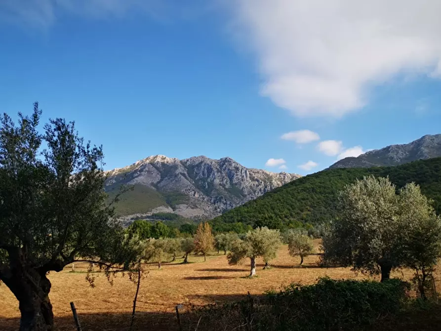 Immagine 20 di Terreno agricolo in vendita  in PRATA SANNITA a Prata Sannita