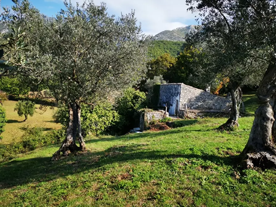 Immagine 21 di Terreno agricolo in vendita  in PRATA SANNITA a Prata Sannita