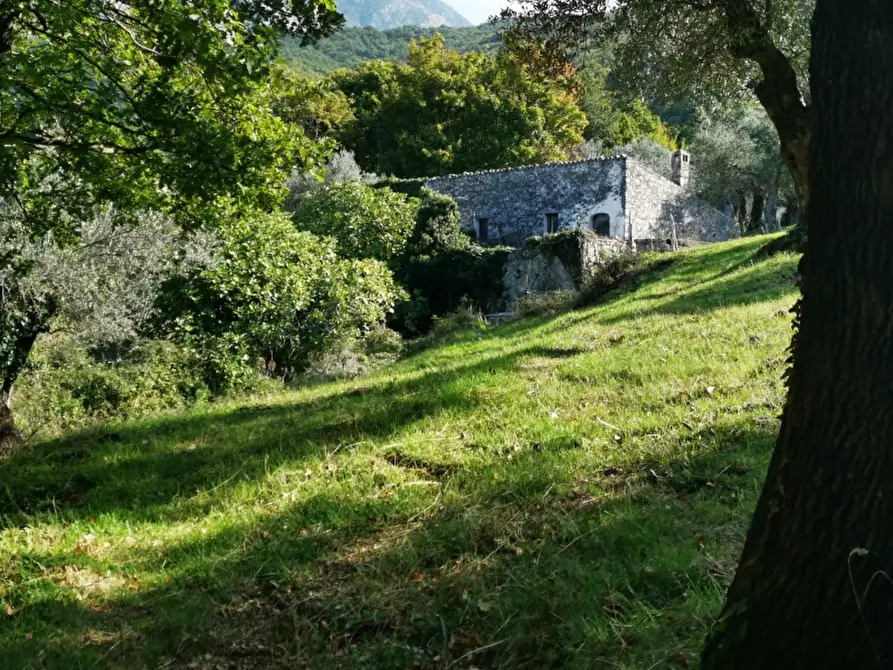 Immagine 22 di Terreno agricolo in vendita  in PRATA SANNITA a Prata Sannita