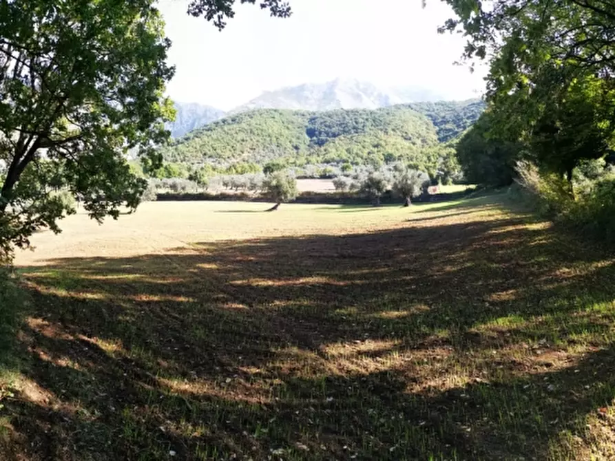 Immagine 23 di Terreno agricolo in vendita  in PRATA SANNITA a Prata Sannita