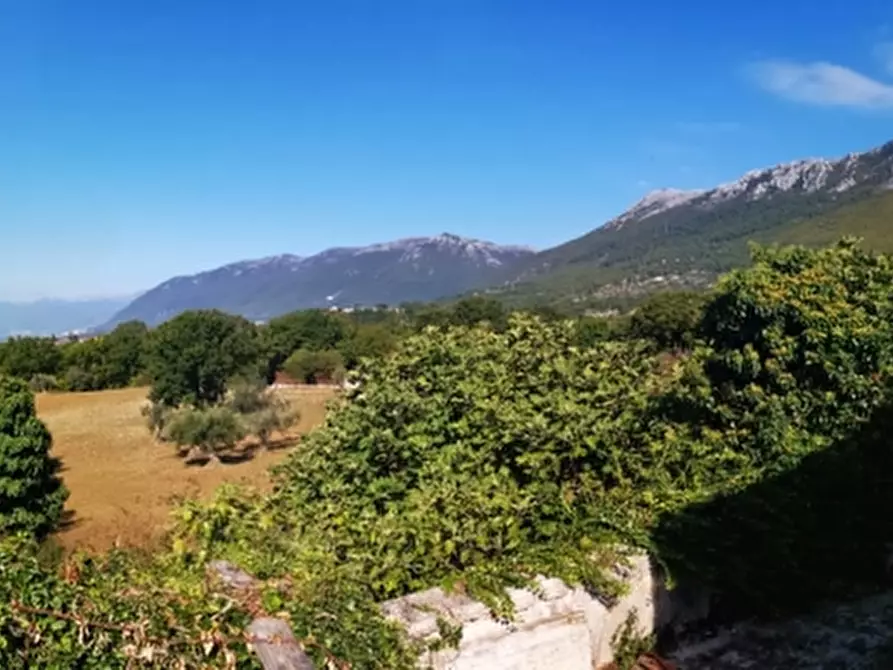 Immagine 25 di Terreno agricolo in vendita  in PRATA SANNITA a Prata Sannita