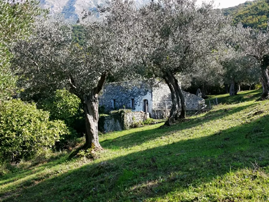 Immagine 26 di Terreno agricolo in vendita  in PRATA SANNITA a Prata Sannita