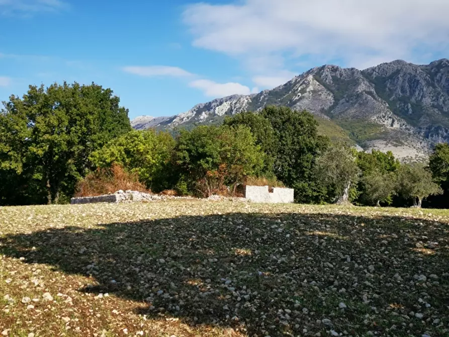 Immagine 27 di Terreno agricolo in vendita  in PRATA SANNITA a Prata Sannita