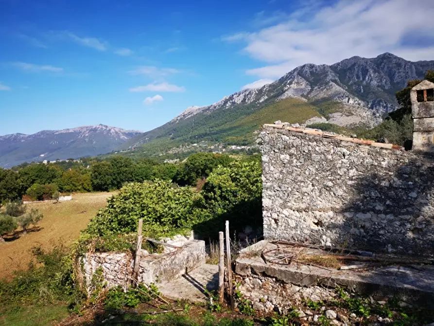 Immagine 29 di Terreno agricolo in vendita  in PRATA SANNITA a Prata Sannita