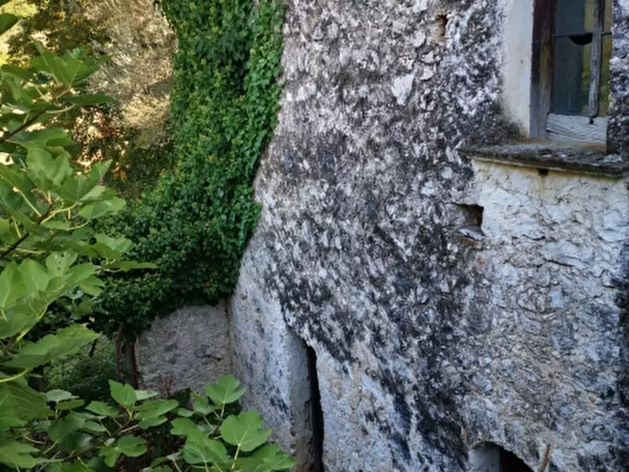 Immagine 30 di Terreno agricolo in vendita  in PRATA SANNITA a Prata Sannita