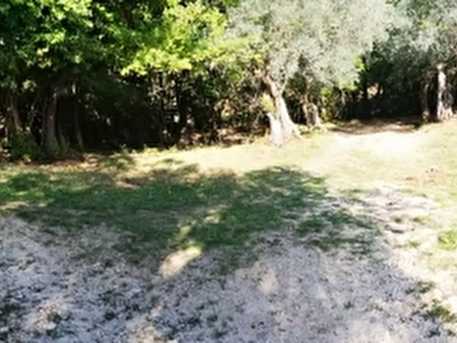 Immagine 33 di Terreno agricolo in vendita  in PRATA SANNITA a Prata Sannita