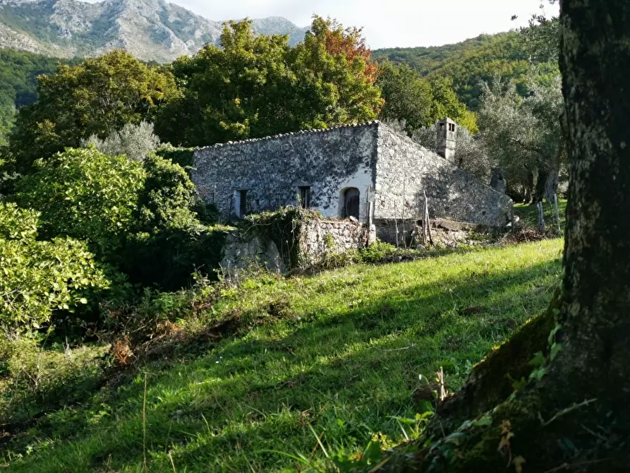 Immagine 8 di Terreno agricolo in vendita  in PRATA SANNITA a Prata Sannita