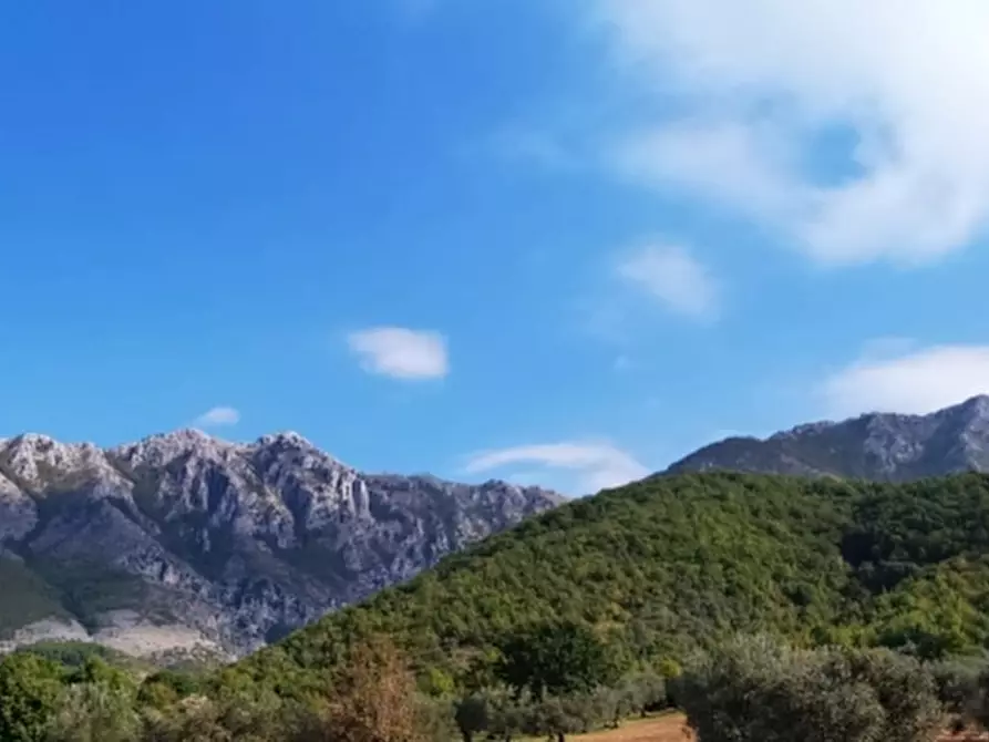 Immagine 9 di Terreno agricolo in vendita  in PRATA SANNITA a Prata Sannita