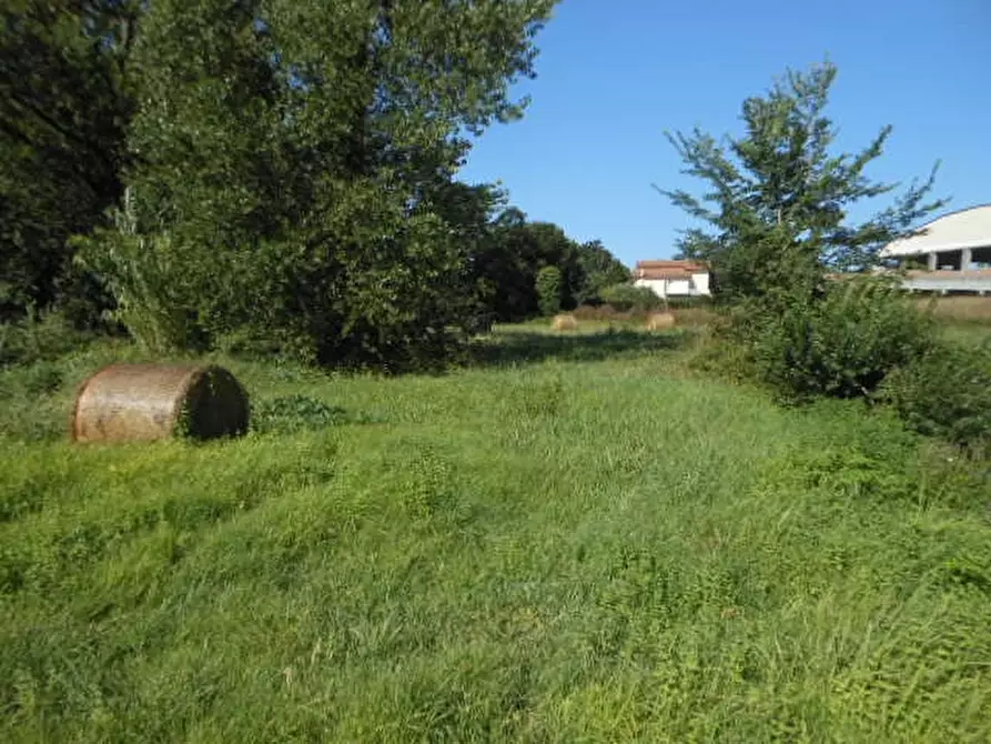 Immagine 21 di Casa indipendente in vendita  a Rocca D'evandro
