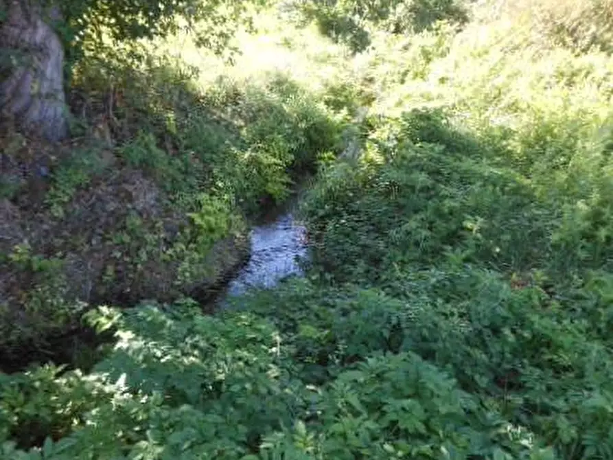 Immagine 9 di Casa indipendente in vendita  a Rocca D'evandro