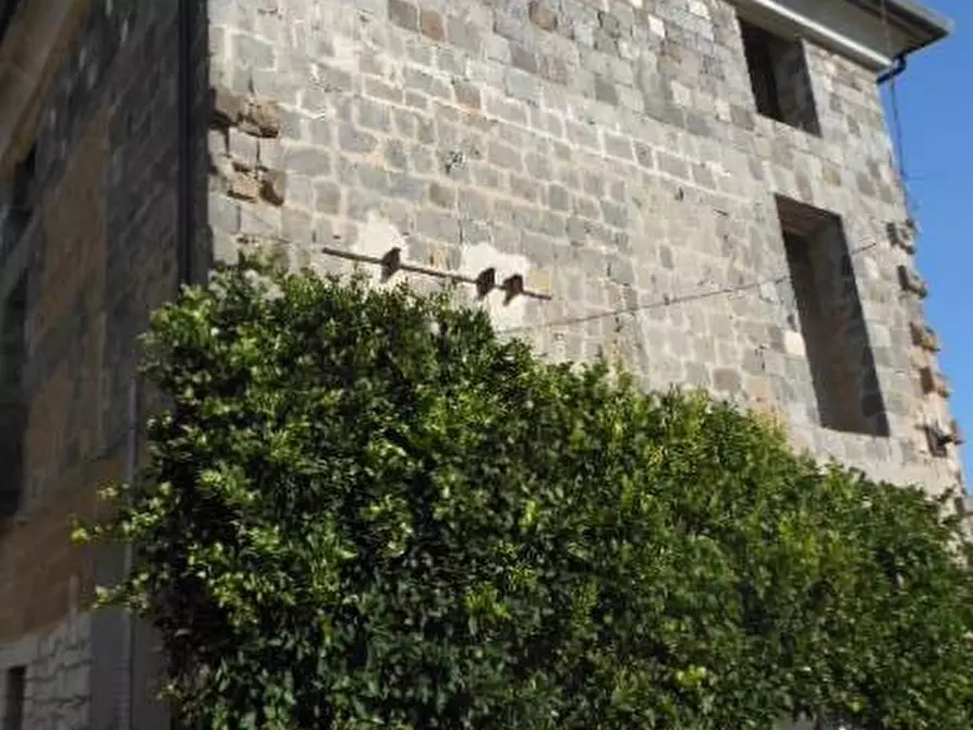 Immagine 3 di Rustico / casale in vendita  a Pietravairano