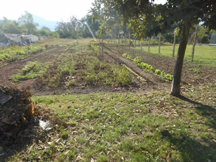Immagine 4 di Rustico / casale in vendita  a Pietravairano