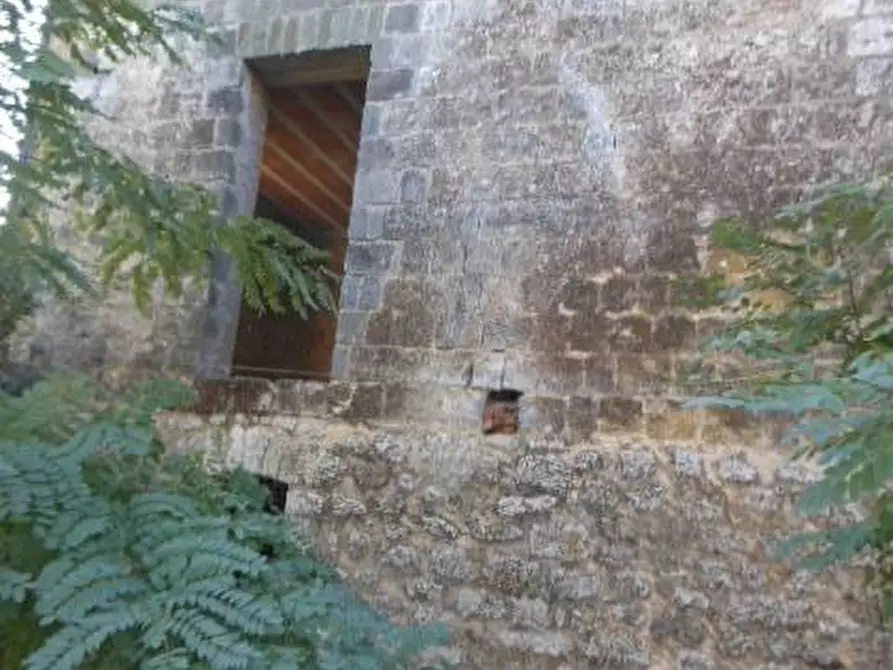Immagine 8 di Rustico / casale in vendita  a Pietravairano