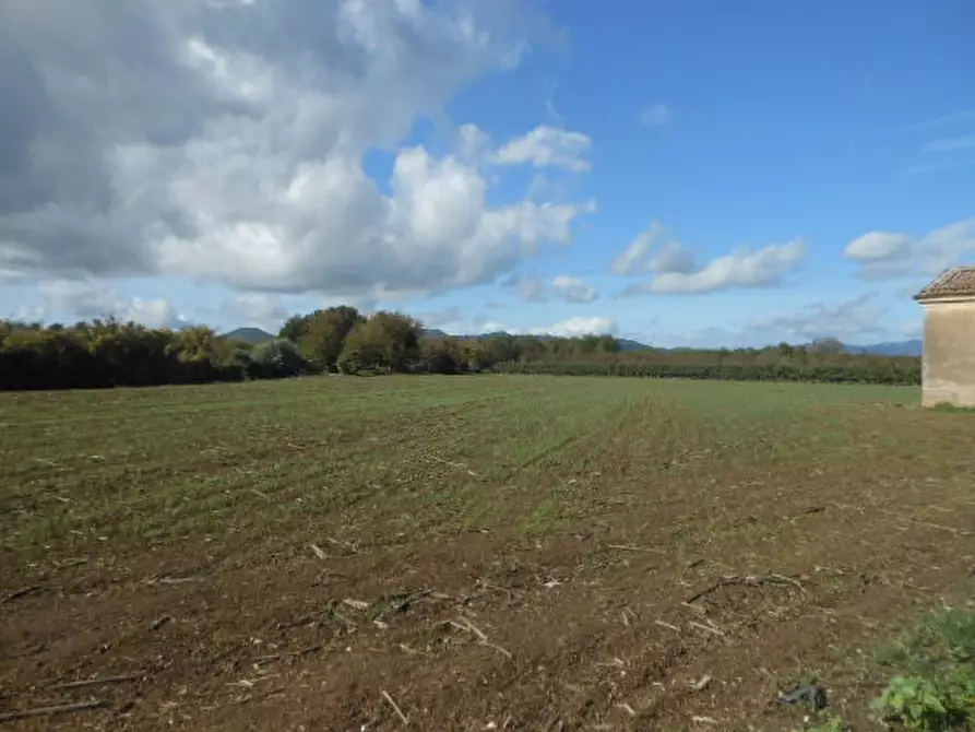 Immagine 5 di Terreno industriale in vendita  a Vairano Patenora