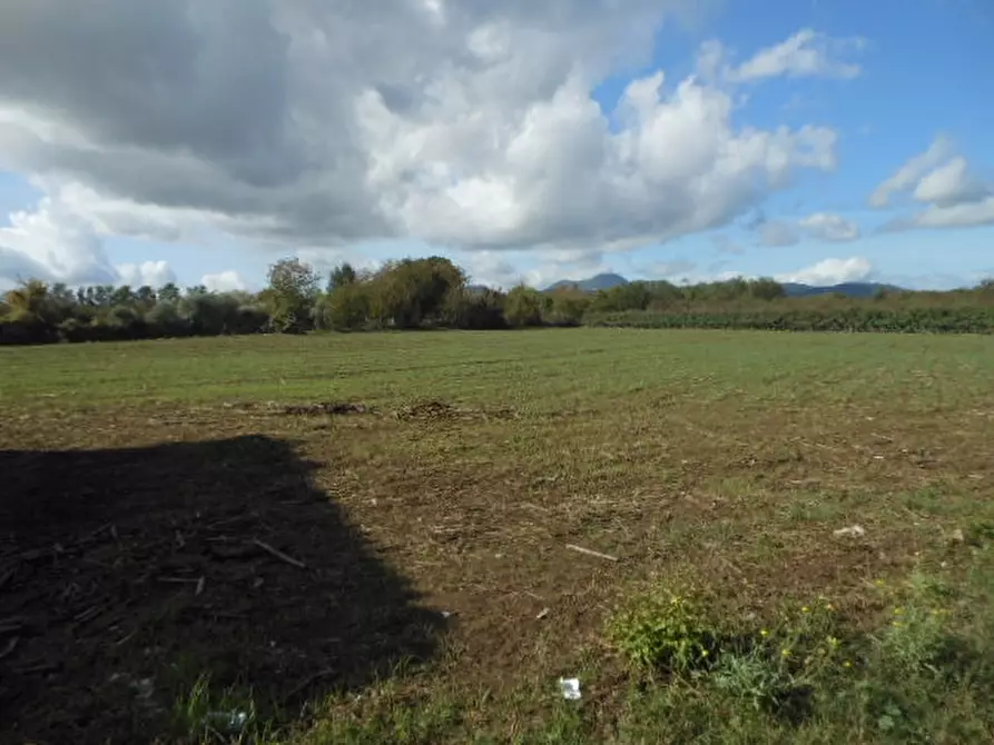 Immagine 8 di Terreno industriale in vendita  a Vairano Patenora