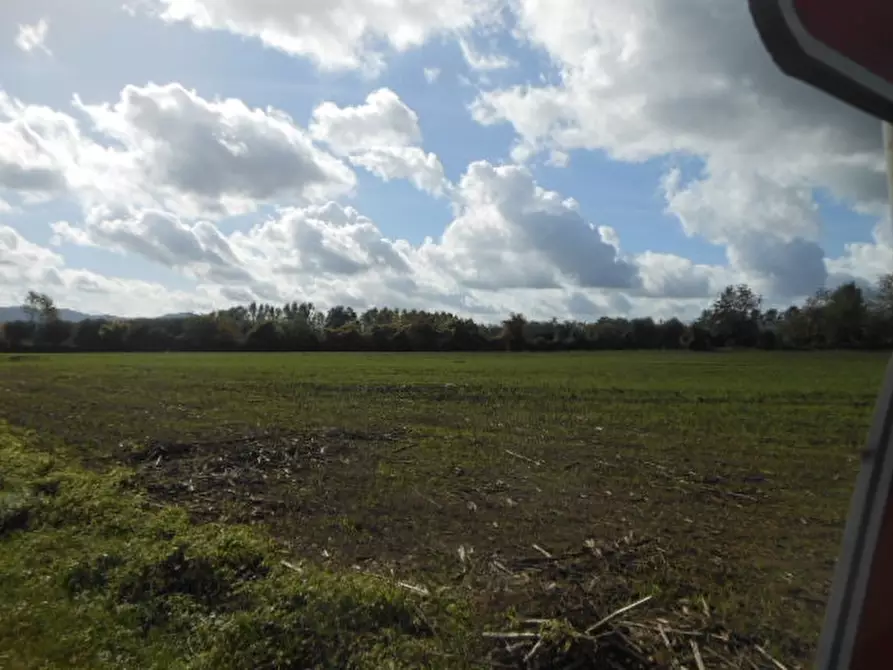 Immagine 11 di Terreno industriale in vendita  a Vairano Patenora