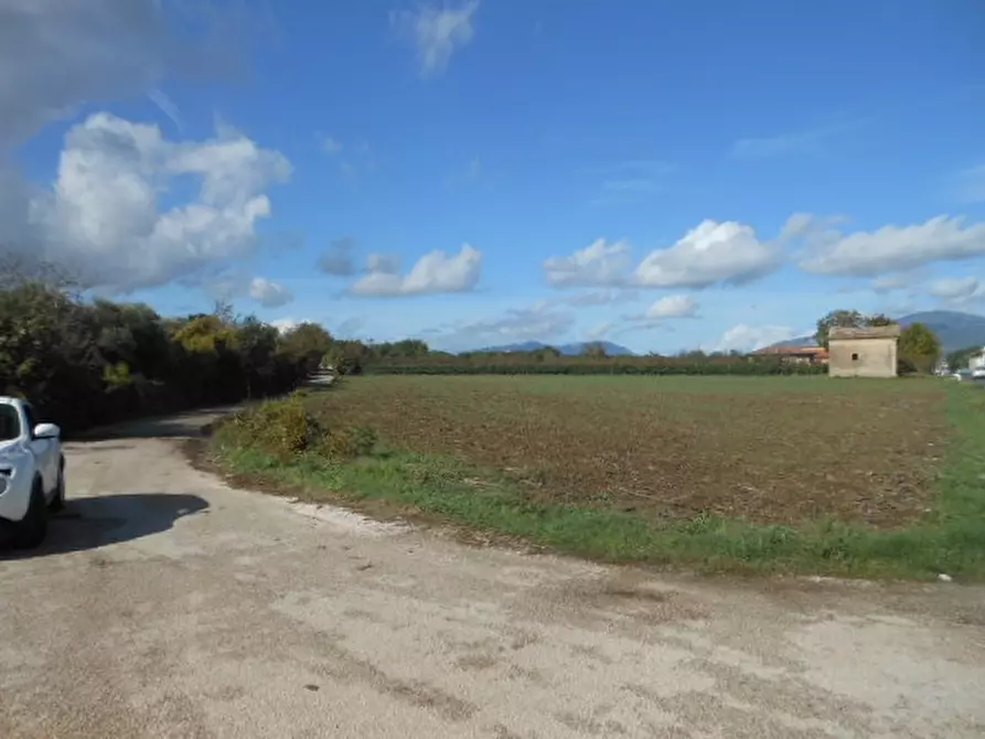 Immagine 12 di Terreno industriale in vendita  a Vairano Patenora