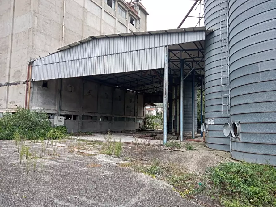 Immagine 20 di Capannone industriale in vendita  in VIA SANT'ANTONIO ABATE a Pietravairano