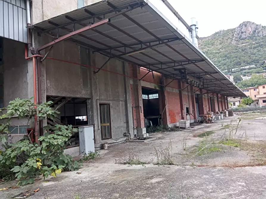 Immagine 4 di Capannone industriale in vendita  in VIA SANT'ANTONIO ABATE a Pietravairano