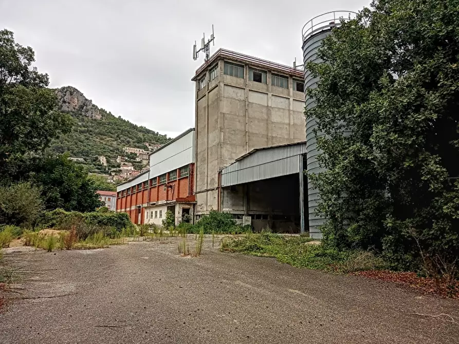 Immagine 2 di Capannone industriale in vendita  in VIA SANT'ANTONIO ABATE a Pietravairano