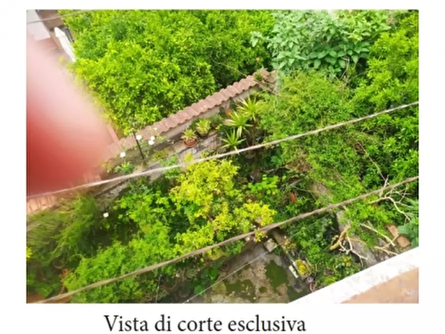Immagine 23 di Porzione di casa in vendita  a Piedimonte Matese
