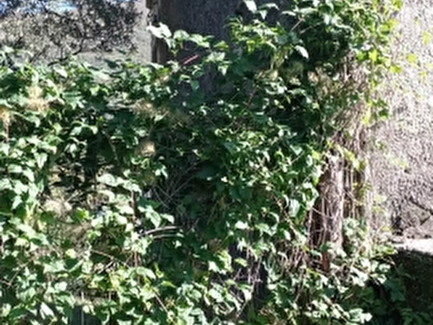 Immagine 6 di Casa indipendente in vendita  a Castello Del Matese