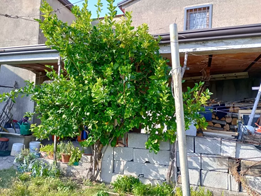 Immagine 22 di Porzione di casa in vendita  in VIA SANT'AGOSTINO a Castello Del Matese