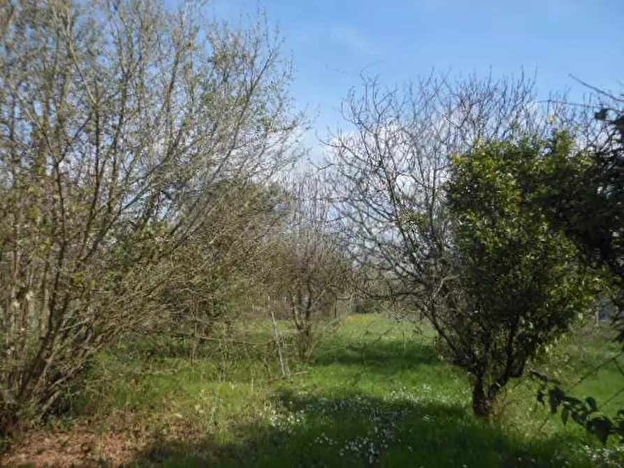 Immagine 10 di Casa indipendente in vendita  a Caianello