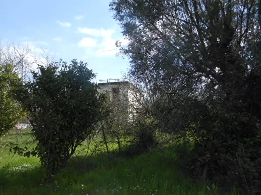 Immagine 11 di Casa indipendente in vendita  a Caianello