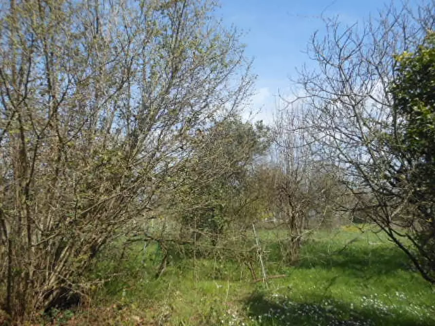 Immagine 12 di Casa indipendente in vendita  a Caianello