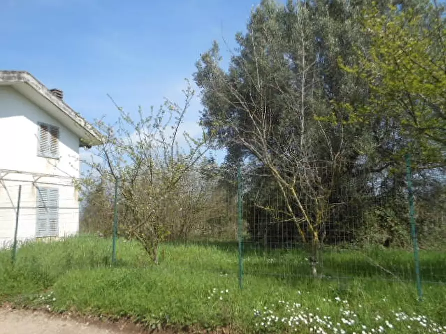 Immagine 5 di Casa indipendente in vendita  a Caianello