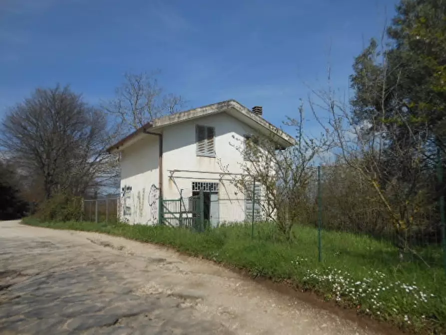 Immagine 6 di Casa indipendente in vendita  a Caianello