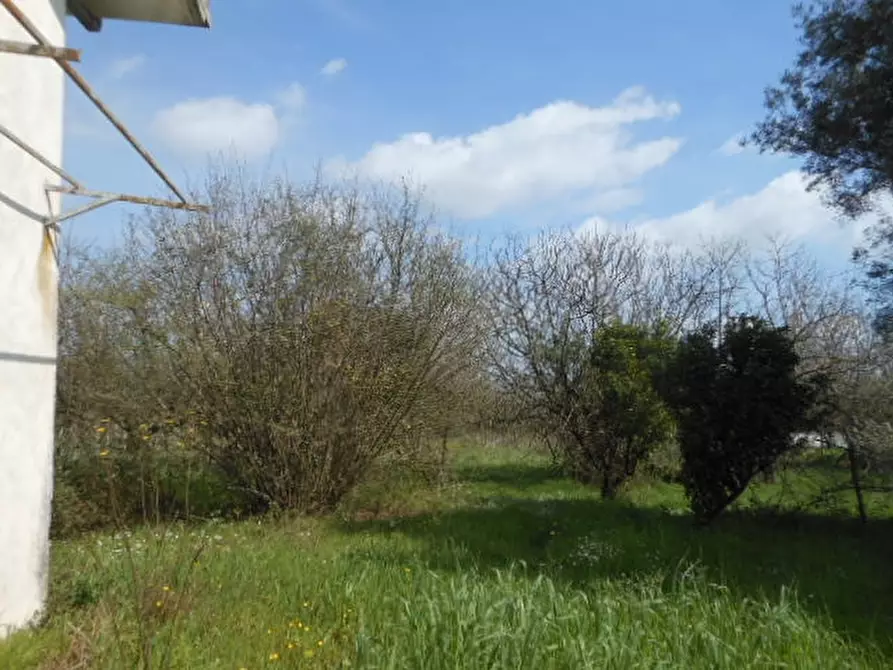 Immagine 7 di Casa indipendente in vendita  a Caianello