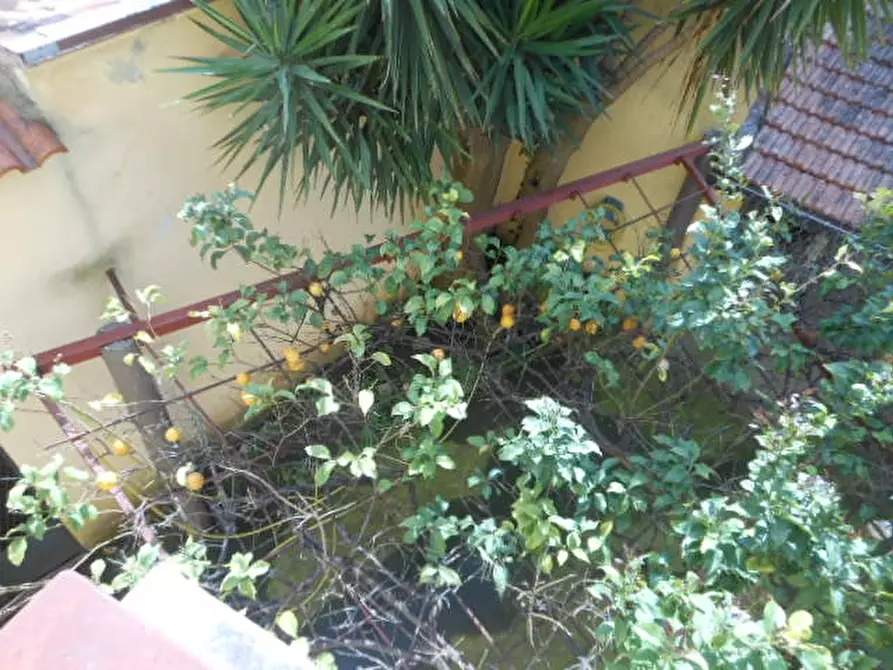 Immagine 6 di Appartamento in vendita  in VIA DEI QUARANTOTTO a Calvi Risorta