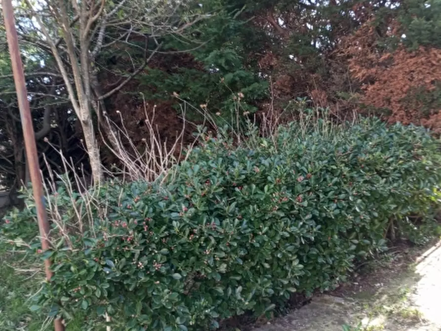 Immagine 4 di Casa indipendente in vendita  a Castello Del Matese