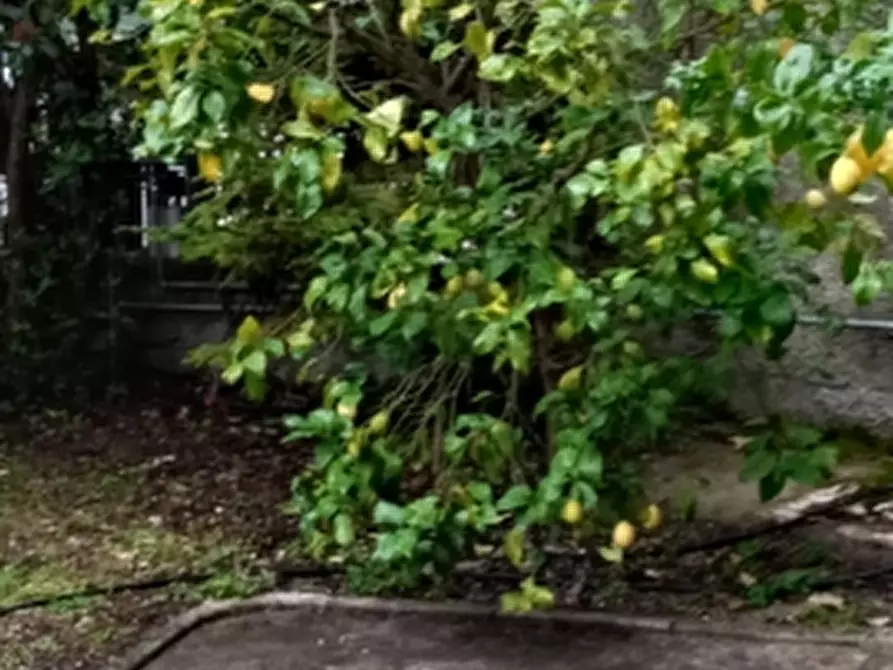 Immagine 9 di Appartamento in vendita  a Castello Del Matese