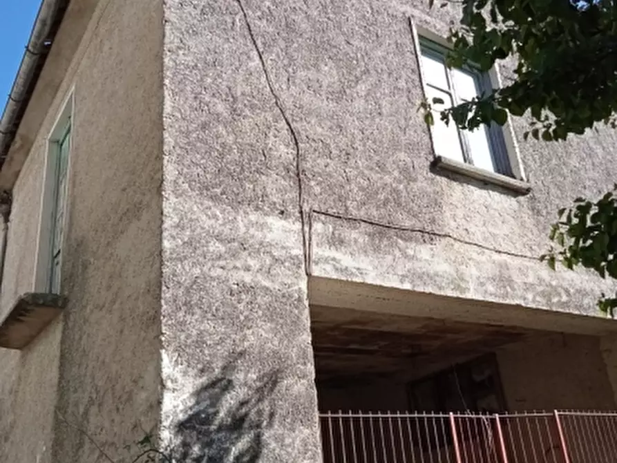 Immagine 3 di Azienda agricola in vendita  in CARATTANO a Gioia Sannitica