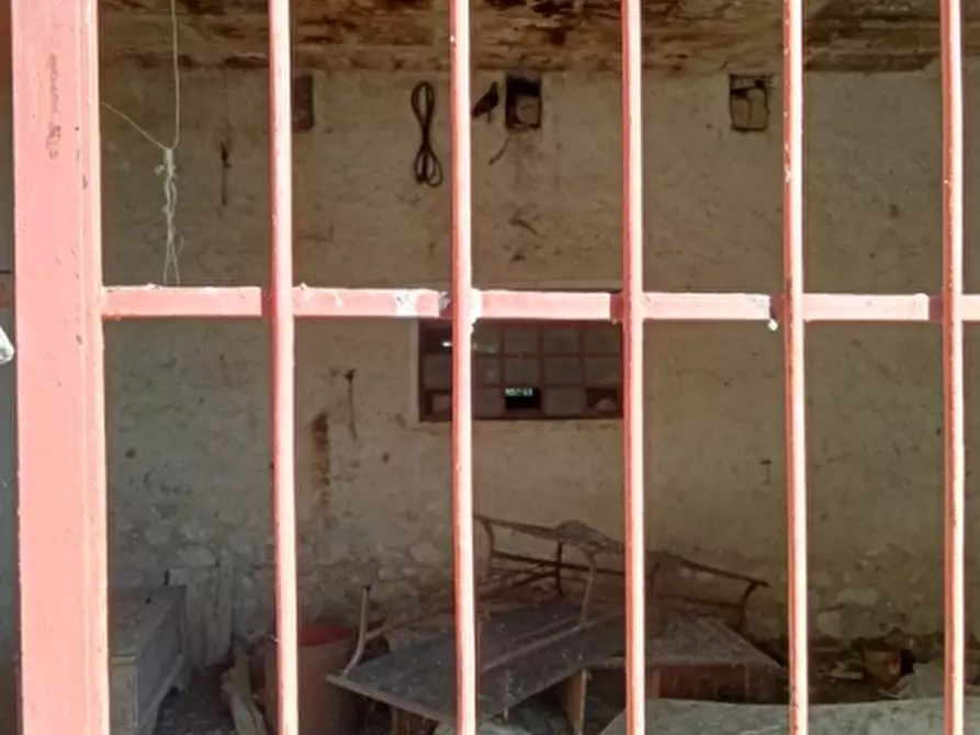 Immagine 4 di Azienda agricola in vendita  in CARATTANO a Gioia Sannitica