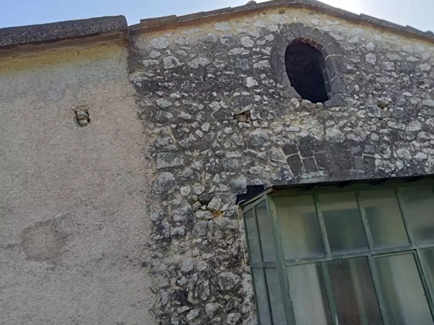 Immagine 7 di Azienda agricola in vendita  in CARATTANO a Gioia Sannitica