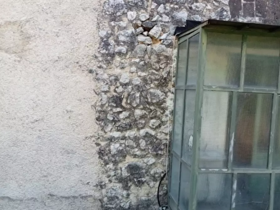 Immagine 8 di Azienda agricola in vendita  in CARATTANO a Gioia Sannitica