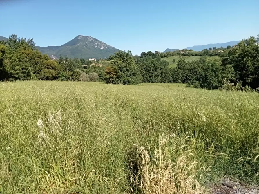 Immagine 9 di Azienda agricola in vendita  in CARATTANO a Gioia Sannitica