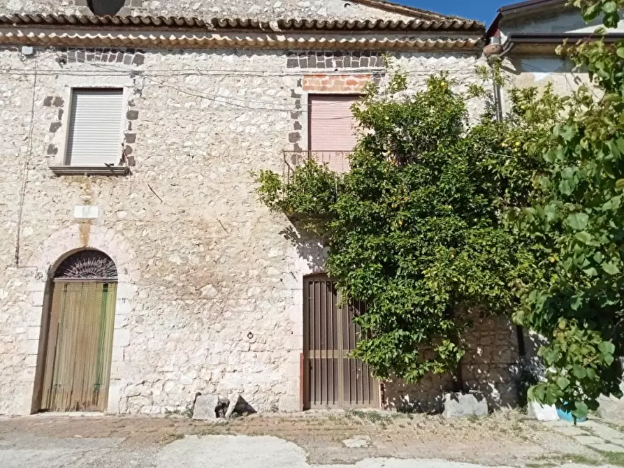 Immagine 10 di Azienda agricola in vendita  in CARATTANO a Gioia Sannitica