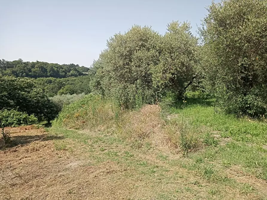 Immagine 3 di Terreno industriale in vendita  in GUAURO a Marzano Appio