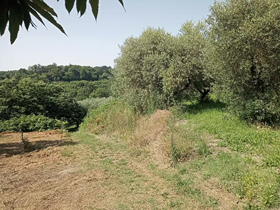 Immagine 5 di Terreno industriale in vendita  in GUAURO a Marzano Appio